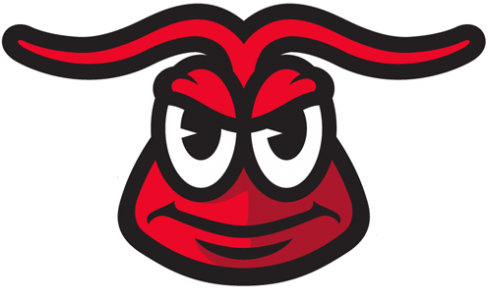 Hickory Crawdads 2016-Pres Alternate Logo v4 iron on heat transfer